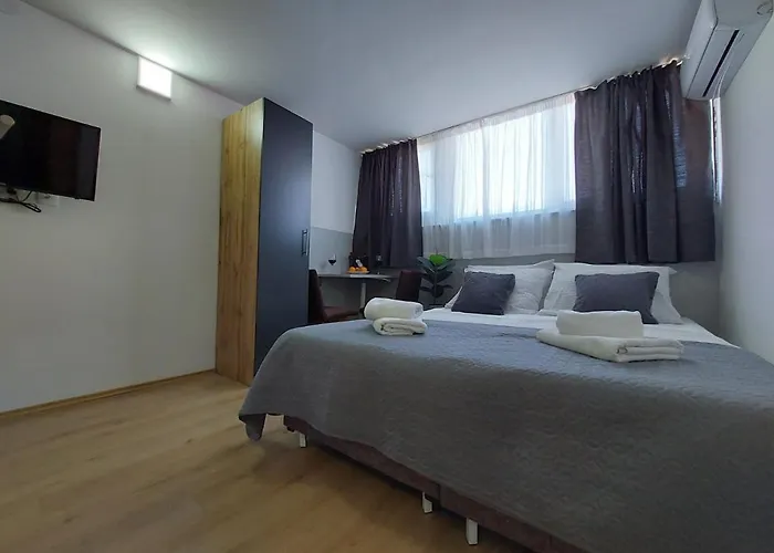 Apartment Roza